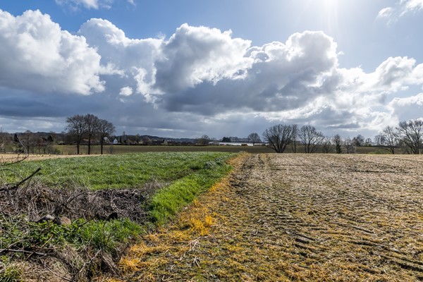 Foto - Te koop: Deze authentieke, landelijk gelegen woonboerderij uit 1900 biedt volop mogelijkheden om geheel naar eigen smaak te moderniseren